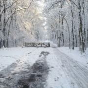 Midden in de winternacht - Siska de Rijke