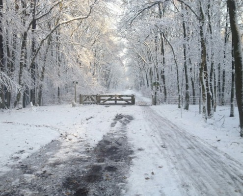 Midden in de winternacht - Siska de Rijke